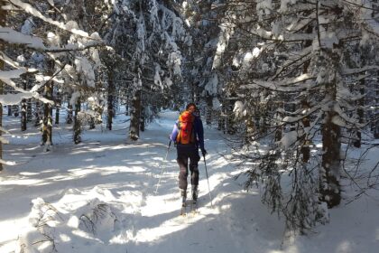 Wintervakantie Feldberg unieke plekjes Zwarte Woud