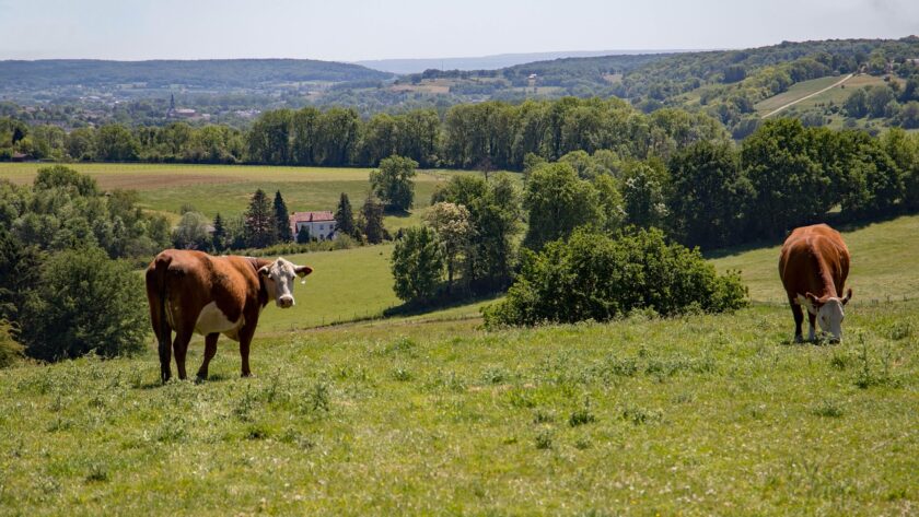 Valkenburg unieke plekjes en tips in Limburg
