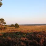 Apeldoorn tips en bezienswaardigheden in de Veluwe