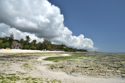 Weer in Zanzibar