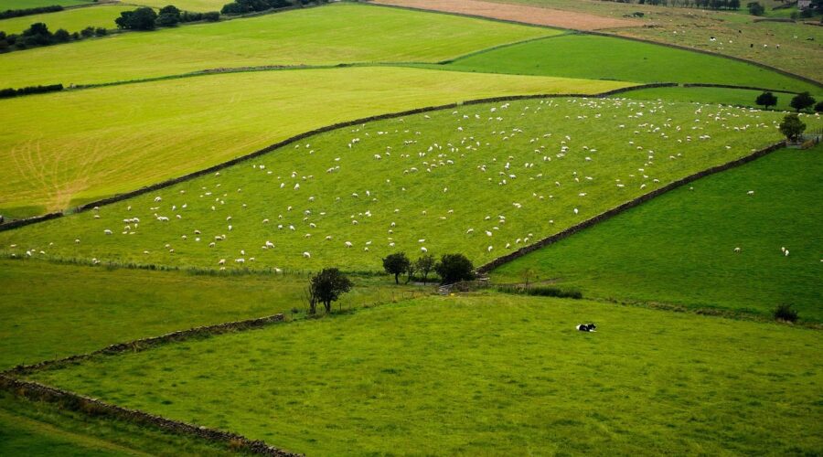 Overtocht Engeland ferry of vliegtuig